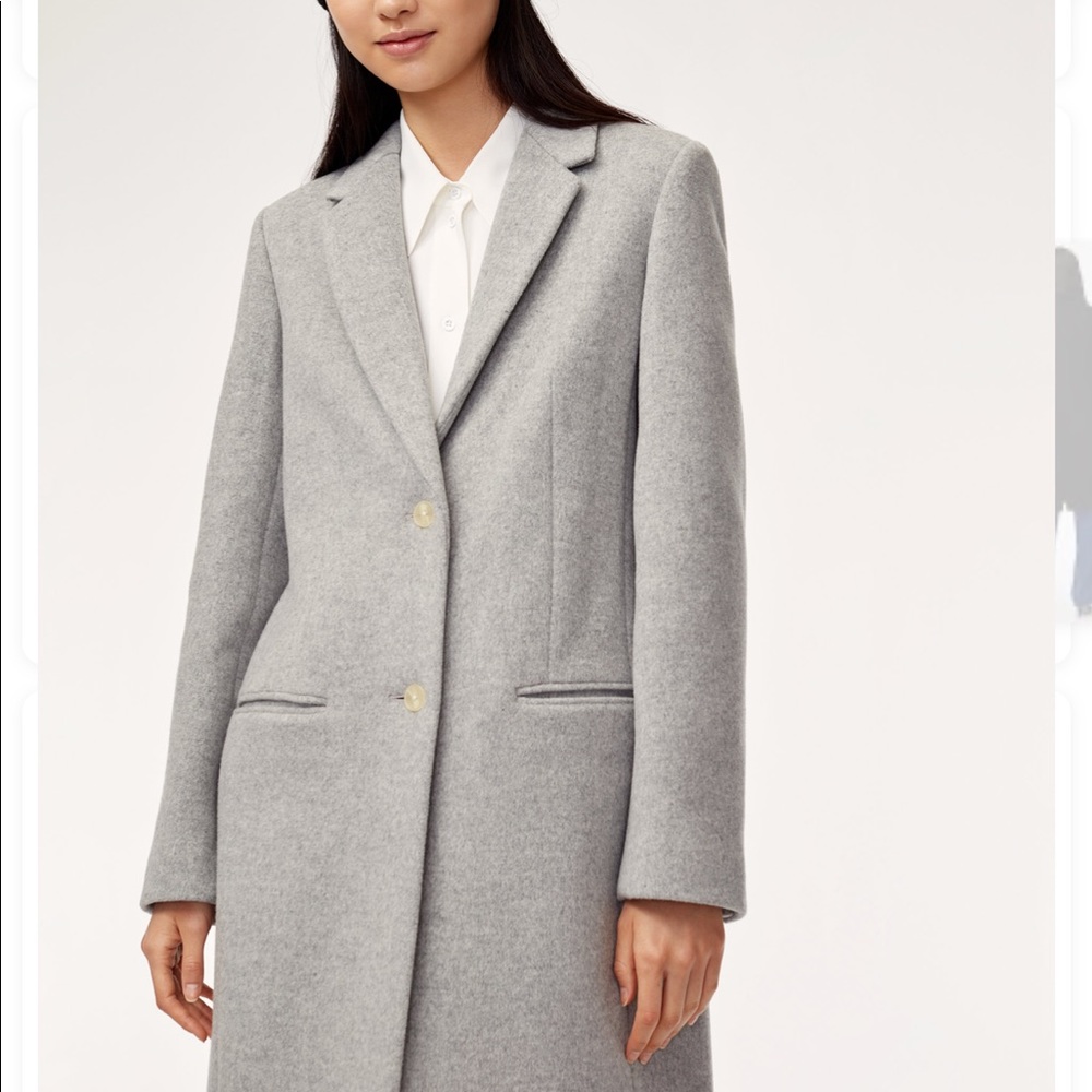 Aritzia babaton Joshua coat.